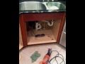 Tampa Mice Exterminator- made home in kitchen cabinet