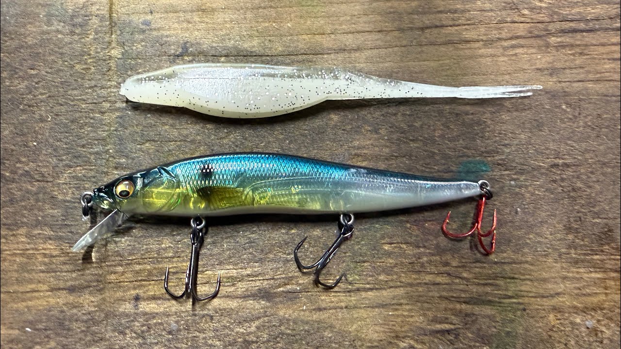 You’ll Never Guess Which One Bigger Bass Prefer