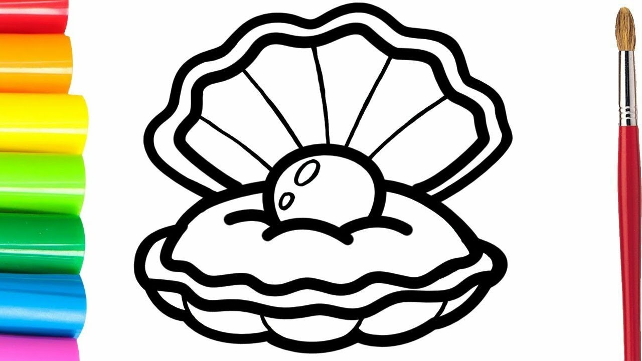 How to Draw Shell - Colouring For Kids &Toddlers || Drawing, Painting ...