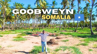 ISKU DARKA BADDA IYO WABIGA - GOOBWEYN