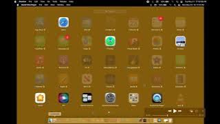 644. 203 screenshots, before QuickTime quits for the 3rd time