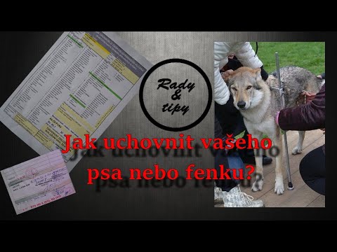 Jak uchovnit psa nebo fenku? | Rady & tipy 8. díl