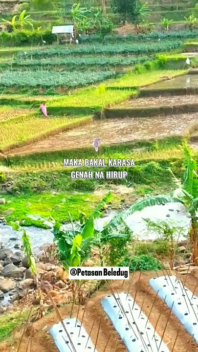 Rumaos can tiasa.#papatahsunda #pepelingsunda #aajun #pesawahan  #motivasi