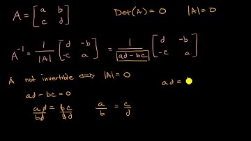 Invertible and noninvertibles matrices