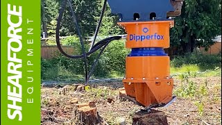 Dipperfox Stump Grinder Removing Fir Stumps On Vancouver Island Fast Easy Stump Removal In Canada