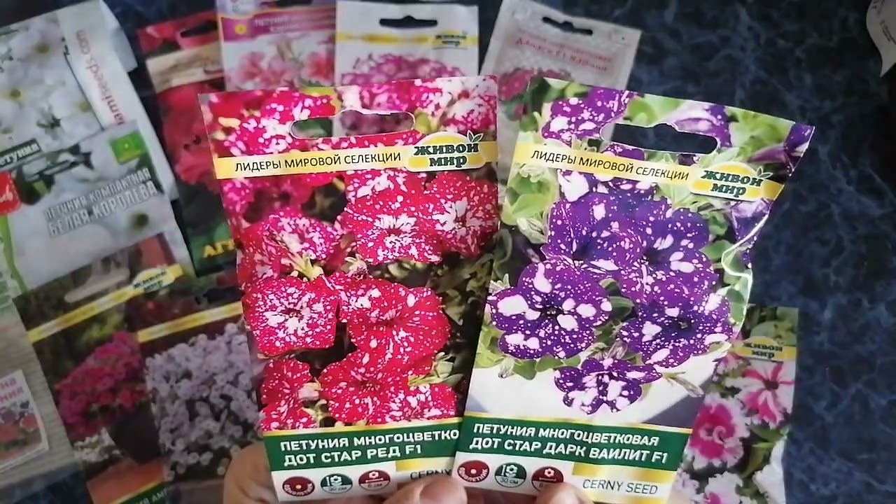 Обзор семян петунии для посева на 2026г.