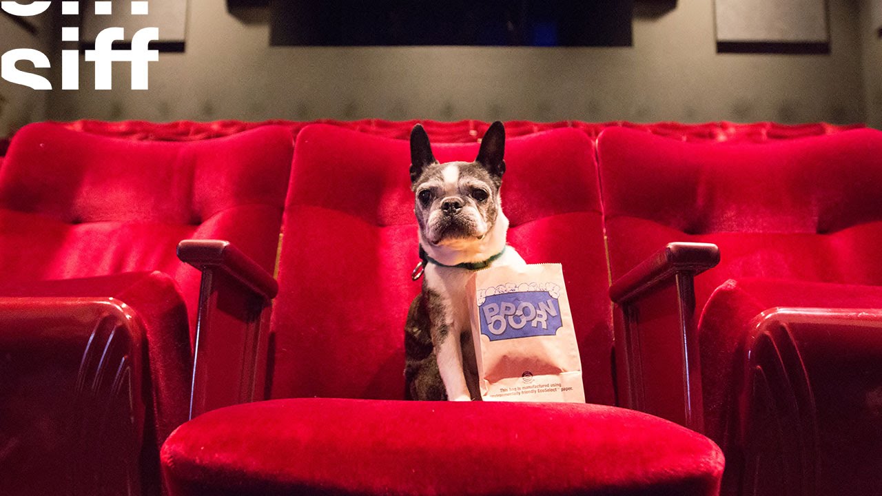 Bring Your Dog to the Movies at SIFF Cinema Uptown Screening of