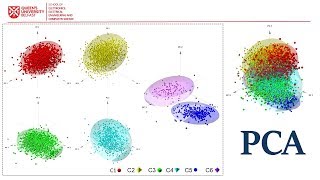 Principal Component Analysis | Learn the Basics of Data Analysis and Machine Learning
