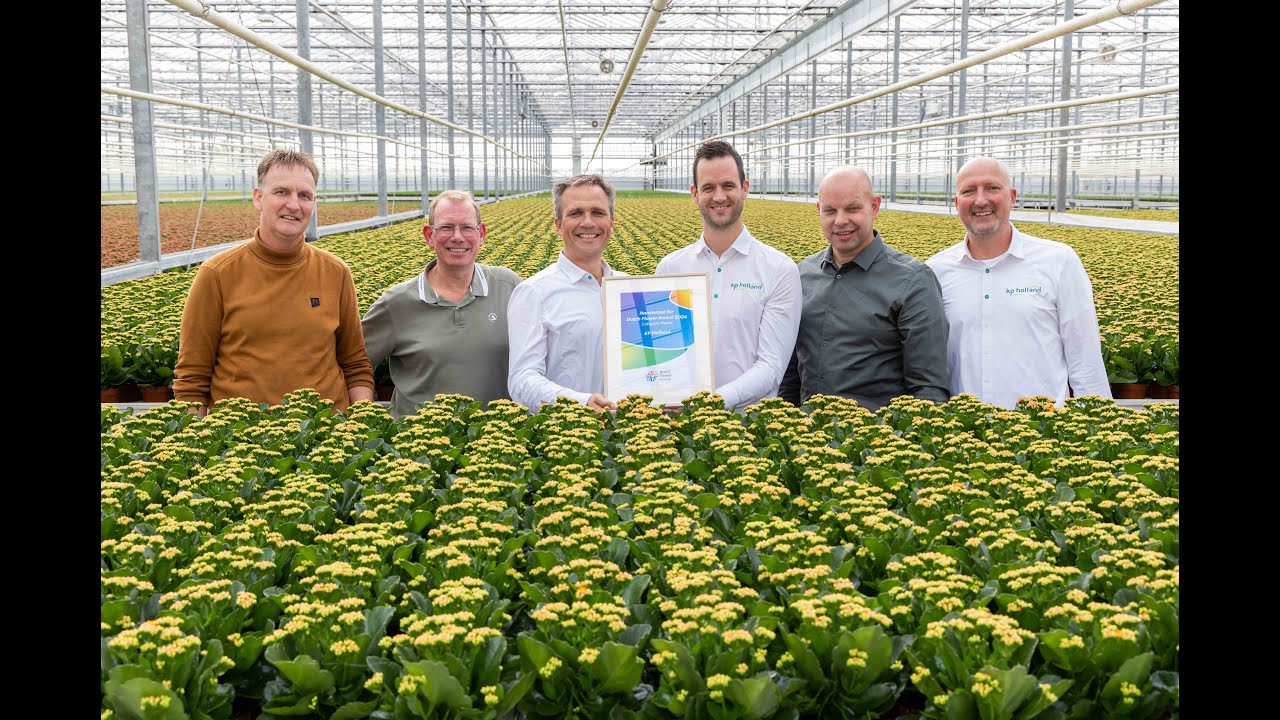 Dutch Flower Awards 2024 - genomineerde KP Holland
