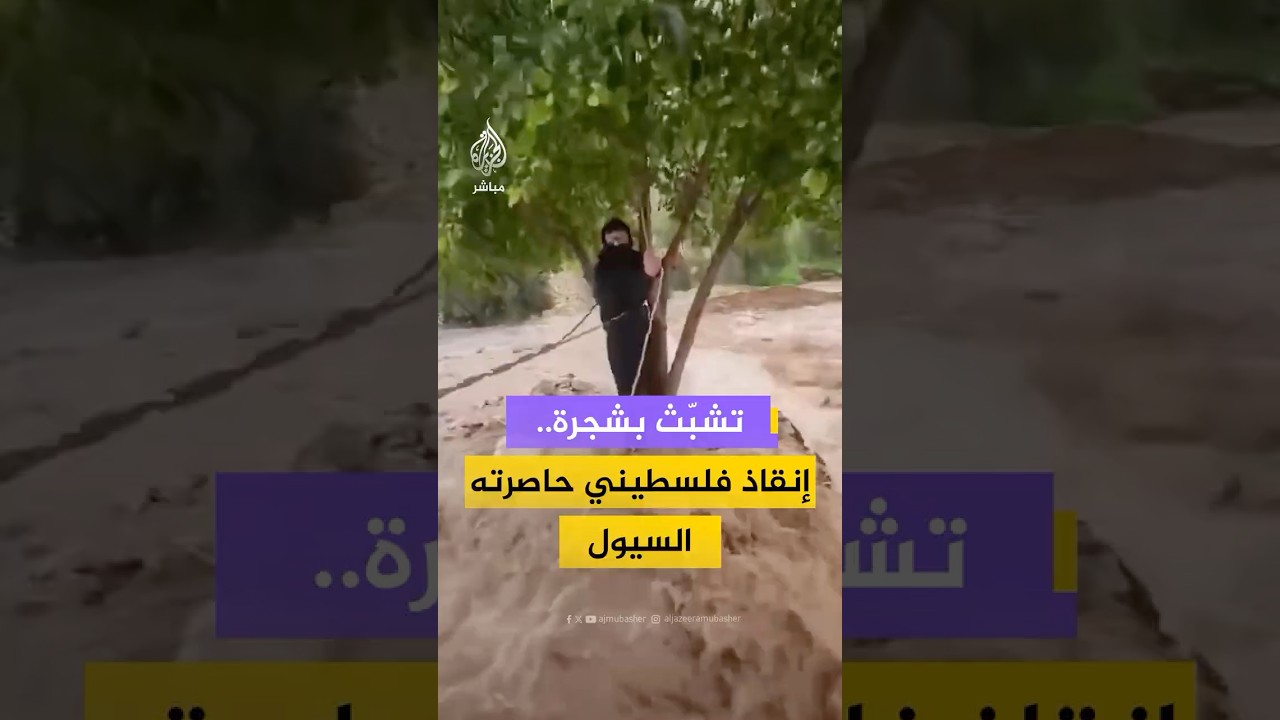 تشبّث بشجرة وسط الطريق.. الدفاع المدني الفلسطيني ينقذ شابا حاصرته السيول في بلدة صوريف بالخليل