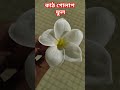 কাঠ গোলাপ ফুল #shortvideo