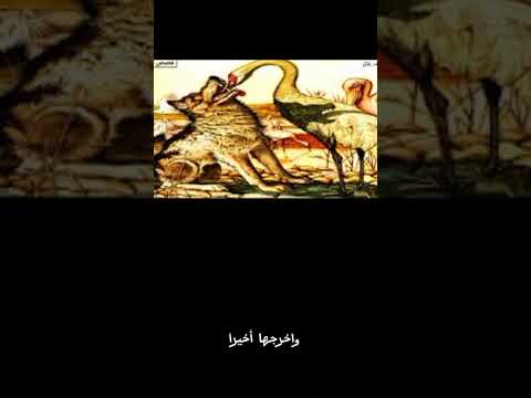 الثعلب و الحمامة معبرة