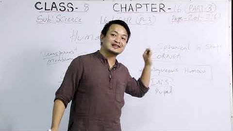 Class 8 Science 27 Aug 2020 Topic : Light (Part 3)