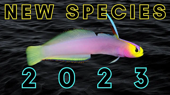 Newly Discovered in 2023 - 25 New Species - DayDayNews