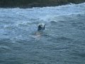 Burgh Island Sea Tractor near miss