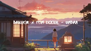 Lofi - brillion. x Tom Doolie - Umbra