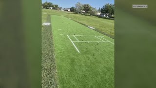 Vandals spread dog waste across new cricket pitch in Manteca