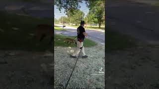 IMG 0239 1