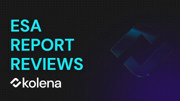 The Secret to Faster ESA Report Reviews with AI 🚀