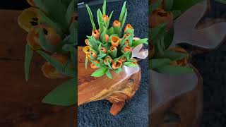 Dbp pluyseghemstraat 14 kontich