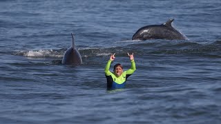 I've never seen dolphins this playful by Brad Jacobson 26,966 views 1 month ago 8 minutes, 33 seconds