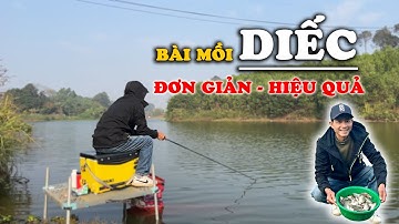 CHIA SẺ BÍ QUYẾT CÂU DIẾC CHO ANH EM MỚI NHẬP MÔN | VIETNAM FISHING TV