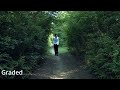 “A Man In The Woods” Re Colored