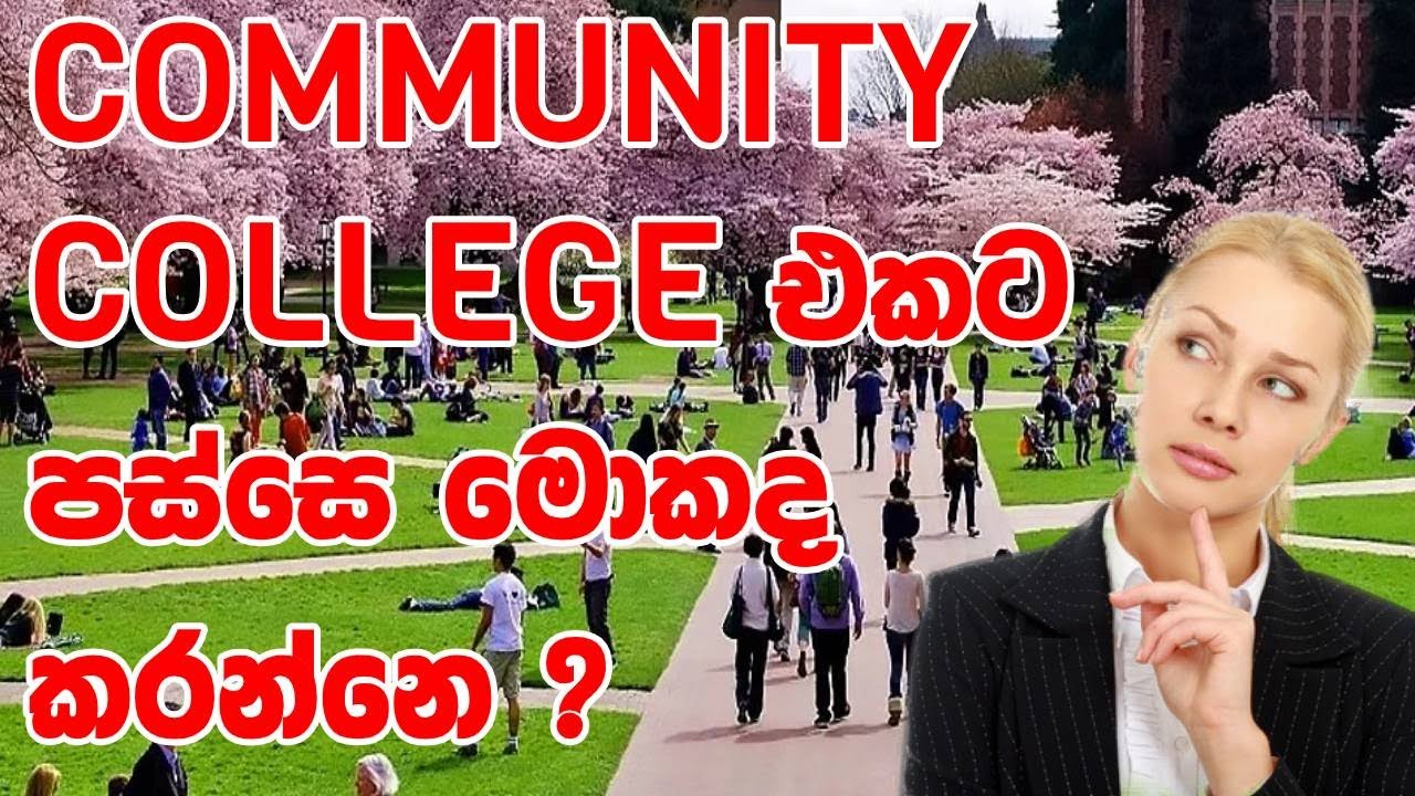 Six ways to get the Green Card after your Associate Degree! - YouTube