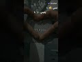 انتي ياليدي ليدي ياليل ويالعين الشامي انتي ياليدي ليدي ياليل ويالعين الشامي