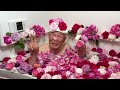 バラ風呂2026人生3度目 お友達と家のバラ🌹重吉87歳 夏子88歳 2026.5.15