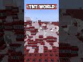 TNT WORLD  #minecraft #minecraftshorts #minecraftfunny #shorts