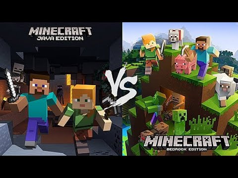 Minecraft Java vs Minecraft bedrock - YouTube