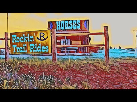 Video: Custer State Park: Täydellinen opas