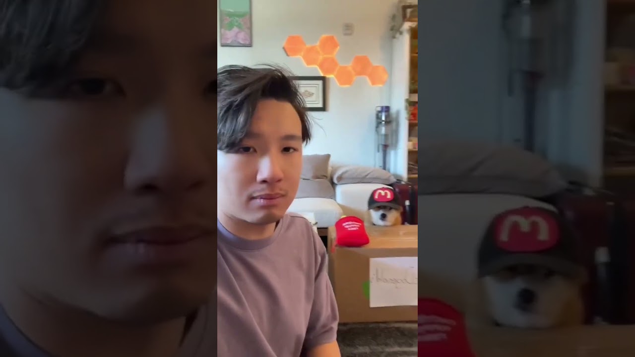 Shiba Inu is a Part Timer! Season 2 