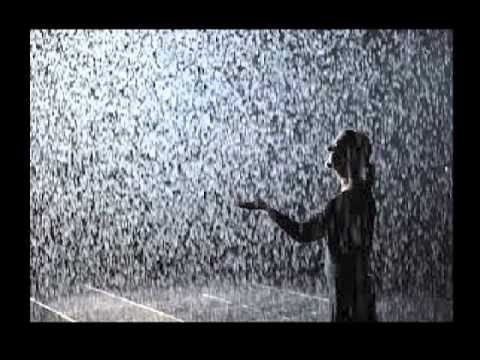 Black and Silver Rain