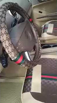 Gucci Car Seat 