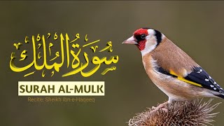 Surah AL Mulk II Surah mulk | Tilawat Surah mulk | سورة الملك | Full With Highlighted Text | Epi011