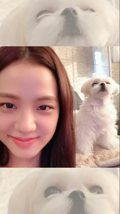 Backsound suara Oh no, oh no.. Jisoobp. #shorts