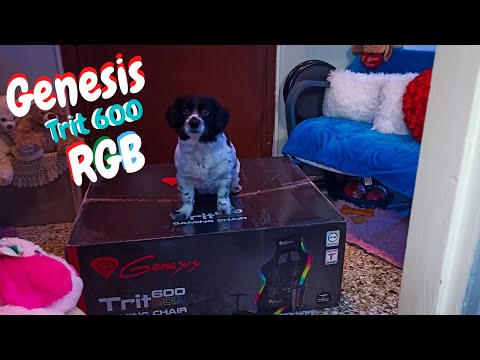 Genesis Trit 600