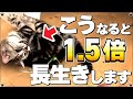 【20歳を超える猫の共通点】長生きする猫の特徴｜【保護猫】