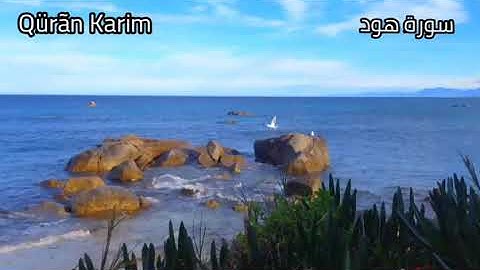 سورة " هود " للقارئ حاتم فريد الواعر / السورة غير كاملة