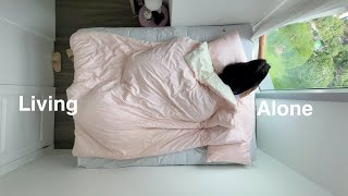 Living Alone • productive days, grocery run, shopee &amp; lazada haul