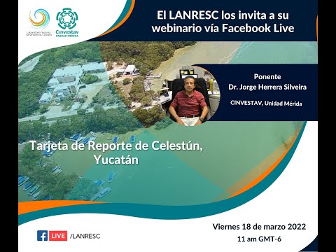 Celestún, Yucatán — Tarjeta de Reporte