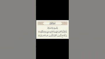 سورة النحل [ الأية 127_128 ] | بصوت الشيخ ياسر الدوسري.