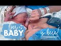 Our baby is here! And is a...