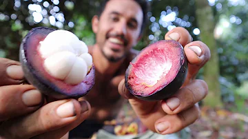 ¿Cuál es la reina de las frutas en Estados Unidos?