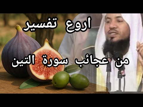 تفسير سورة التين عجائب مدهلة مع فضيلة الشيخ محمد على الشنقيطي قصص القران 