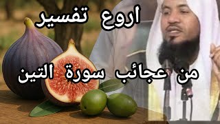 تفسير سورة التين عجائب مدهلة مع فضيلة الشيخ محمد على الشنقيطي #قصص@القران
