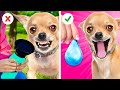 ARE YOU A PERFECT PET OWNER?🐶🤓💕 Pawsome Hacks, DIYs And Gadgets For The Lovely PETS