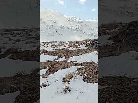 طبیعت لشگردر Love Comedy Fu طبیعت کلیپ تنهایی